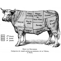 Plat de côte